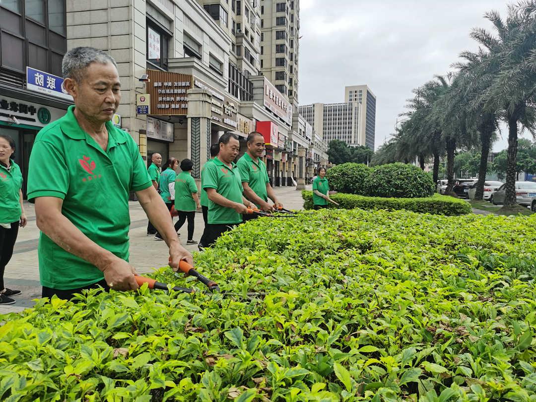 园林绿化养护修剪